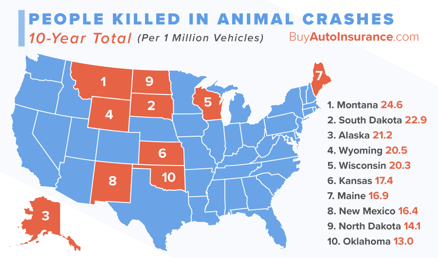 drivers killed in animal crashes